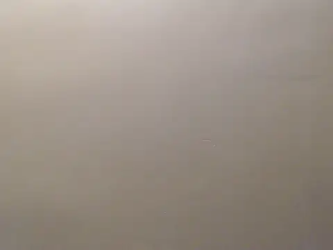 Bigg Pussyy Catt online show from September 2025 09:22:02 AM