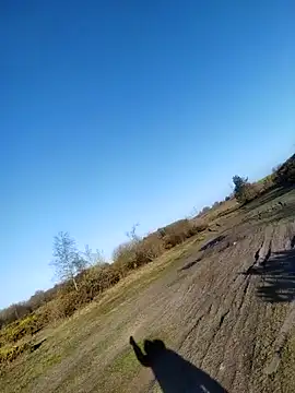 Muzz 2020 online show from April 2026 06:51:01 AM