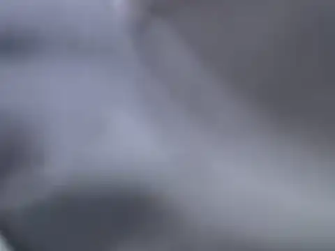 perescam online show from March 2025 03:18:02 AM