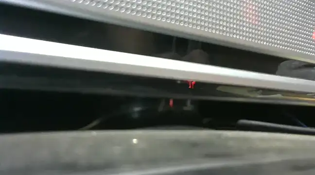 gauchors20 online show from December 2024 01:51:01 AM