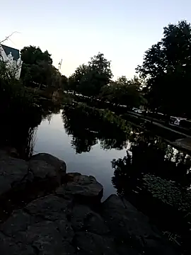 nicali78 online show from September 2025 01:31:02 AM