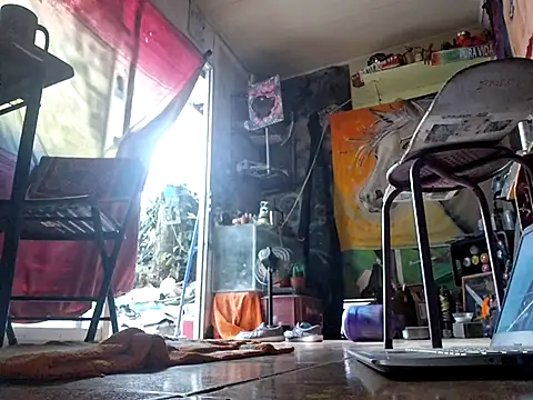 Toycockhot online show from March 2025 11:38:02 PM