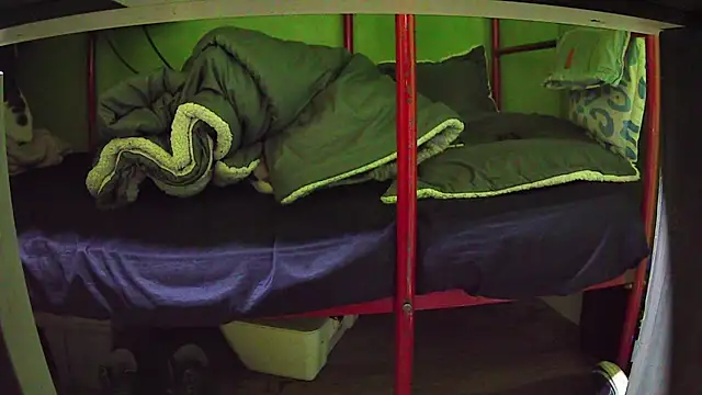 Walltaz online show from March 2026 05:01:02 AM