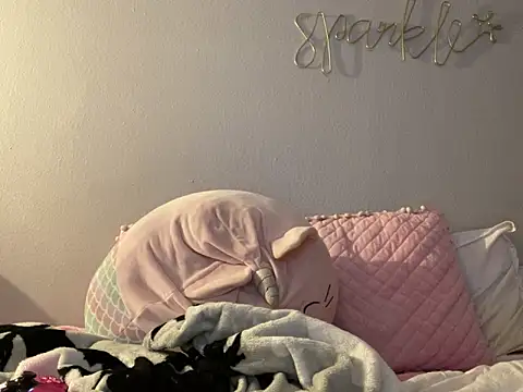 Snapshot of bunnypillow chatting on December 2024 04:24:01 AM bunnypillow online show from December 2024 04:24:01 AM
