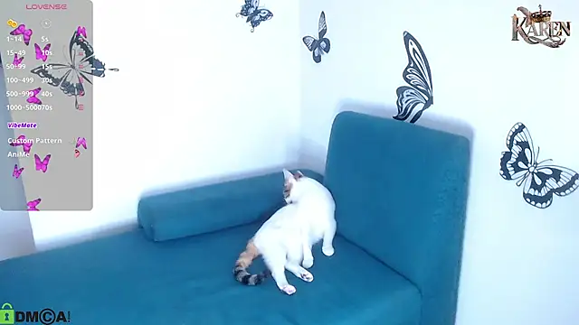 karen sofia  online show from February 2026 09:13:01 PM