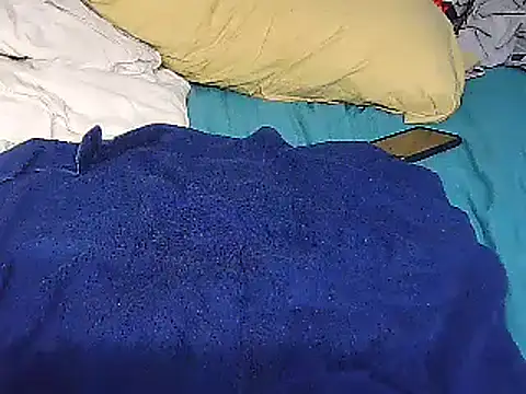 Snapshot of k-dong chatting on January 2025 12:25:02 AM k-dong online show from January 2025 12:25:02 AM