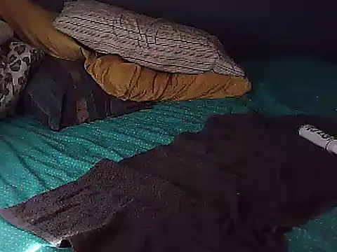 Snapshot of k-dong chatting on February 2025 05:29:02 PM k-dong online show from February 2025 05:29:02 PM