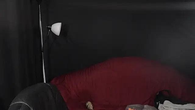 Snapshot of Metalstud chatting on December 2024 12:09:02 AM Metalstud online show from December 2024 12:09:02 AM