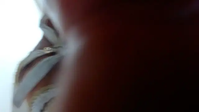 Snapshot of Ixchel_Anaid chatting on March 2025 12:10:01 AM Ixchel Anaid online show from March 2025 12:10:01 AM