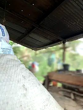 Snapshot of Ixchel_Anaid chatting on October 2025 02:18:01 PM Ixchel Anaid online show from October 2025 02:18:01 PM