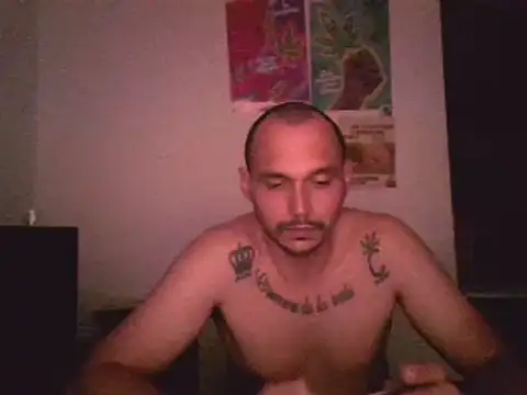 Snapshot of universitario-col chatting on December 2024 01:52:02 AM universitario-col online show from December 2024 01:52:02 AM