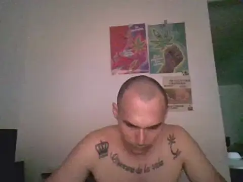 Snapshot of universitario-col chatting on December 2024 12:56:02 AM universitario-col online show from December 2024 12:56:02 AM