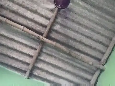 sujanmanda online show from September 2025 06:49:01 AM