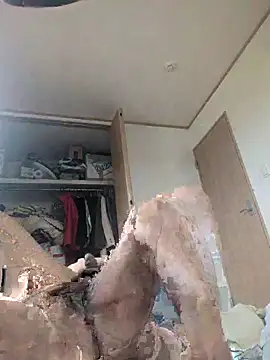 sexybottomrakkii online show from April 2026 11:07:02 PM