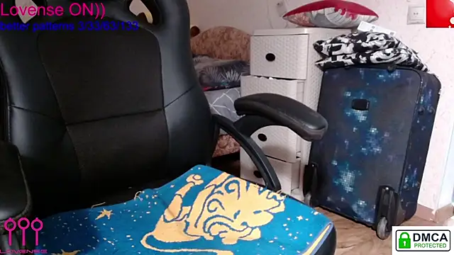sweet cute cat online show from January 2025 05:34:01 PM
