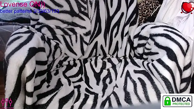 sweet cute cat online show from March 2026 10:55:01 AM