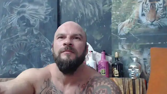 viking 30 online show from September 2025 06:52:02 PM