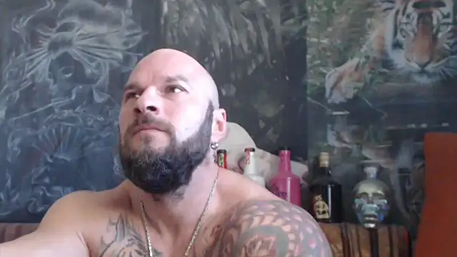 viking 30 online show from October 2025 07:05:02 AM