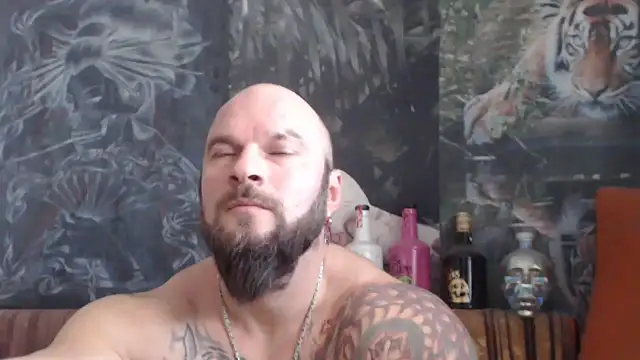 viking 30 online show from November 2025 07:42:02 AM