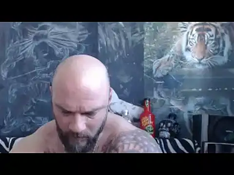 viking 30 online show from April 2026 06:07:01 AM