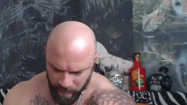 viking 30 online show from May 2026 06:53:01 AM