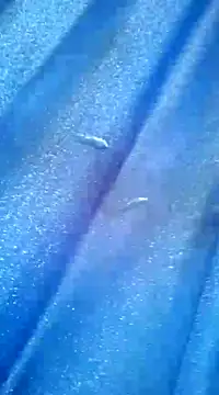 Luismiguel55 online show from March 2025 10:11:02 AM