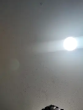 Snapshot of 6lue6a6y69 chatting on December 2024 01:12:01 AM 6lue6a6y69 online show from December 2024 01:12:01 AM