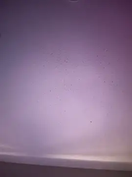 Snapshot of 6lue6a6y69 chatting on November 2025 05:20:01 AM 6lue6a6y69 online show from November 2025 05:20:01 AM