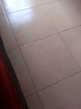 Robhalford33 online show from January 2026 07:06:01 PM