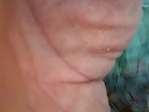 Payaso53 online show from April 2026 02:38:01 AM