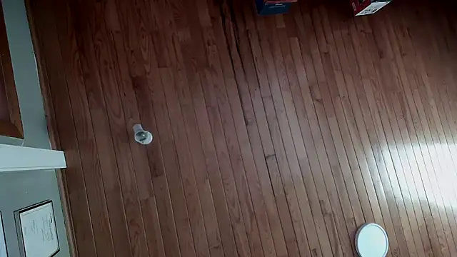 riverside197575 online show from October 2025 09:08:02 AM