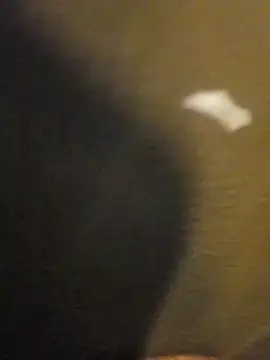 Sripandara1 online show from March 2025 12:04:02 PM