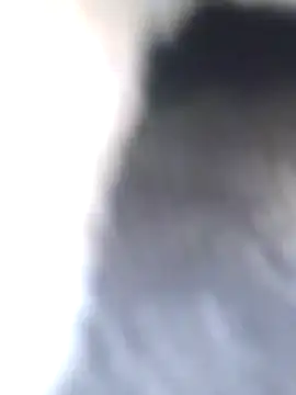 Dirtyfeelin online show from January 2025 08:40:01 AM