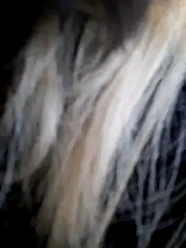 Dirtyfeelin online show from December 2025 11:59:01 AM