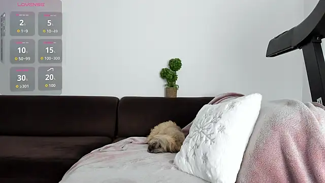 baby alice online show from January 2026 11:09:02 PM