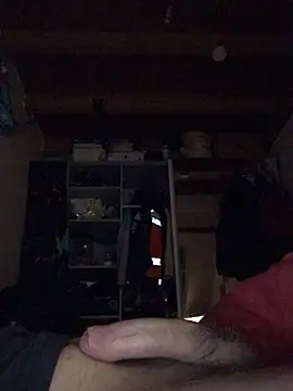 Chris-LE91 online show from January 2026 03:55:02 AM