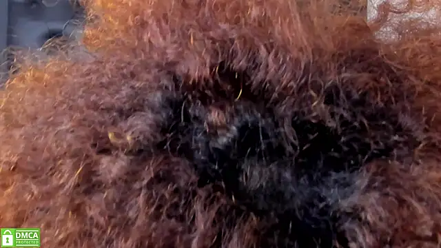 Alika Shanty online show from March 2026 05:51:02 PM