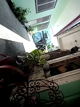 Snapshot of TropicalFlower chatting on October 2025 01:06:01 AM TropicalFlower online show from October 2025 01:06:01 AM