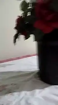 catdool online show from January 2025 03:26:02 AM