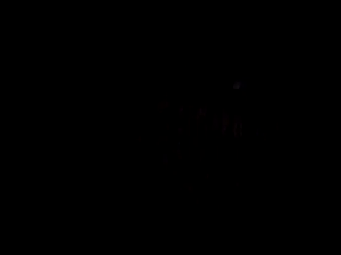 catdool online show from February 2025 11:31:01 PM