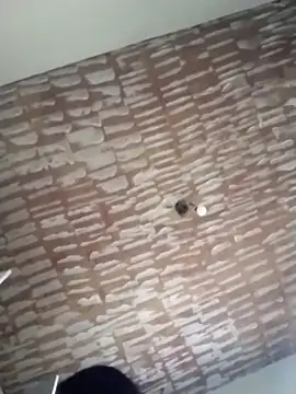 catdool online show from February 2025 06:57:02 PM