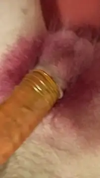 DerWeisser online show from February 2025 09:29:01 PM