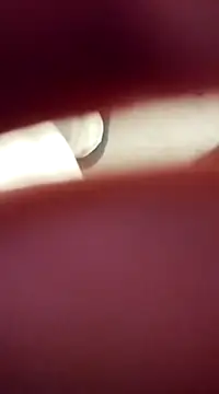 DerWeisser online show from March 2025 05:24:02 PM