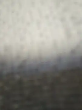 Snapshot of fit_ass_2021 chatting on July 2026 03:04:01 PM fit ass 2021 online show from July 2026 03:04:01 PM