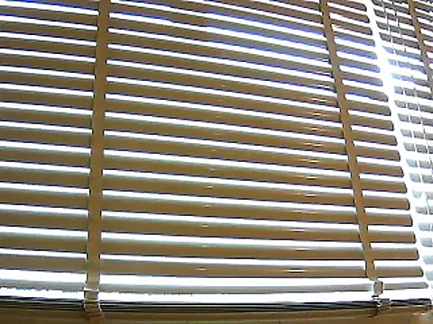 papiculo86 online show from January 2025 02:41:01 PM