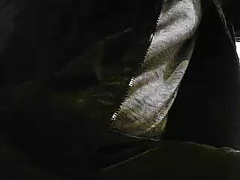 papiculo86 online show from January 2025 09:33:02 AM