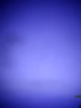 waspy online show from March 2025 02:55:02 AM