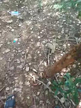 rameshmry1 online show from February 2026 08:59:02 AM