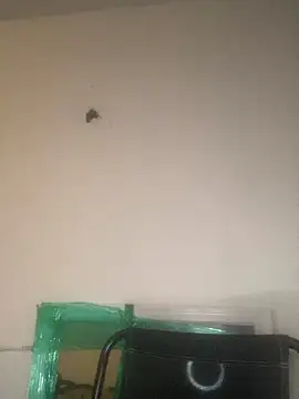 Foreignthababyy online show from January 2026 03:12:02 AM