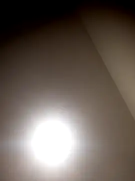 sua sub  online show from March 2026 08:29:01 AM